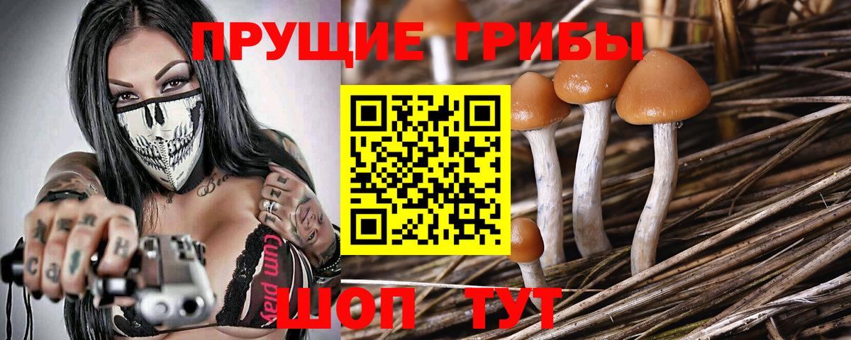 Ярцево  Галлюциногенные грибы ЛСД  Вход с VPN  Псилоцибиновые грибы мухоморы 